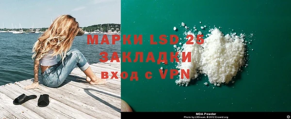 apvp Алзамай