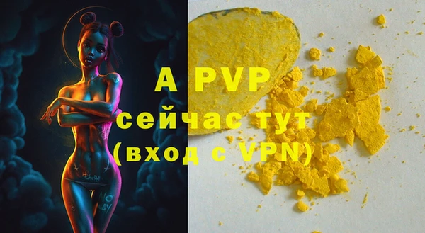 apvp Алзамай