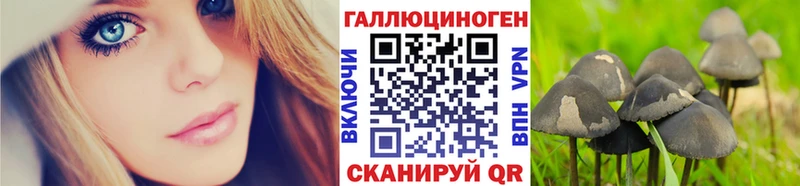 Псилоцибиновые грибы Psilocybe  Шелехов 